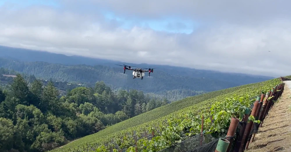 XAG P100 Pro spray vineyard on a slope